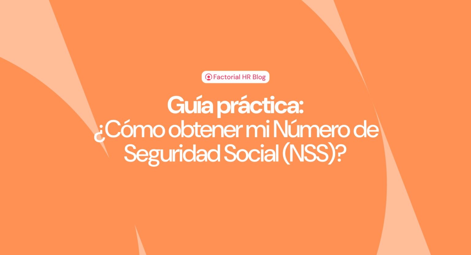 C Mo Obtener Mi N Mero De Seguridad Social Nss Gu A