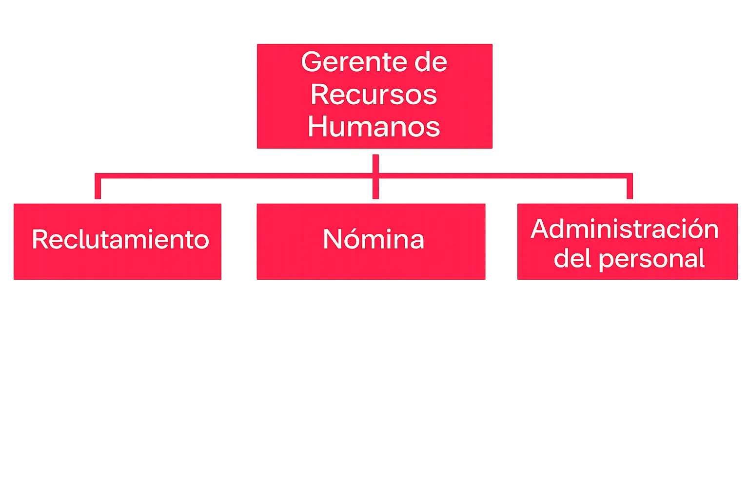 Jerarquia-basica en departamento de recursos humanos