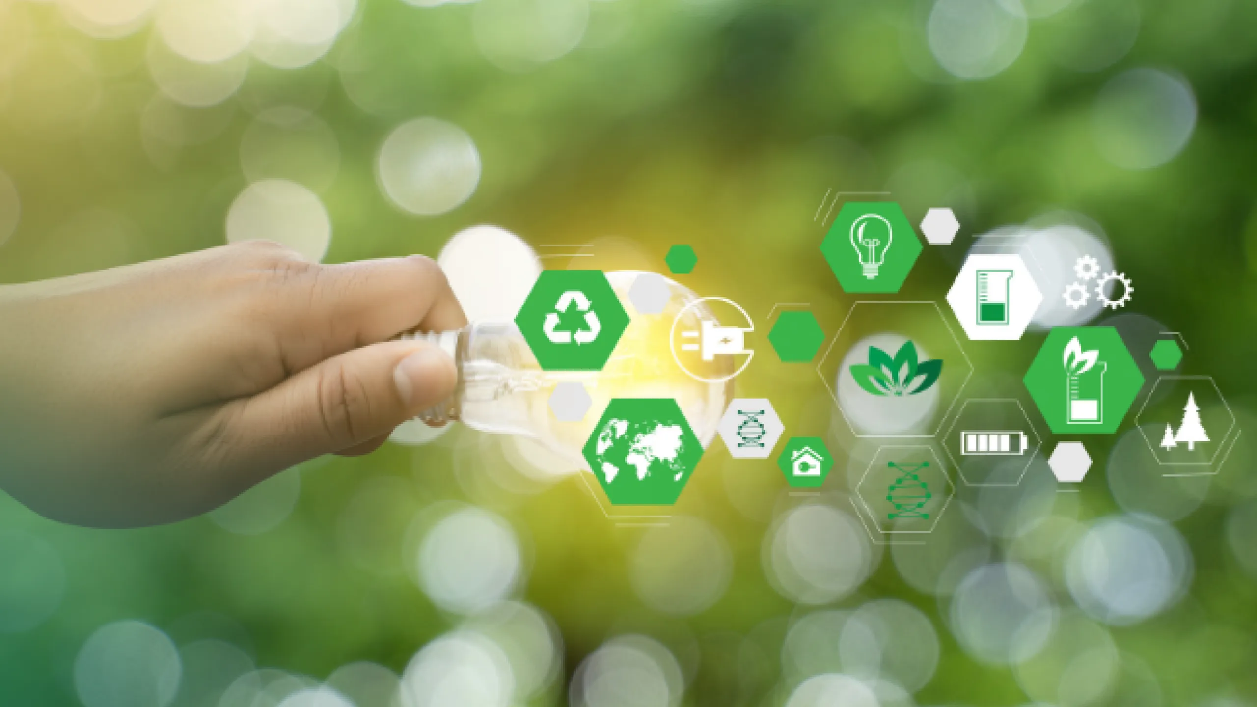 Acciones-ecologicas-Factorial