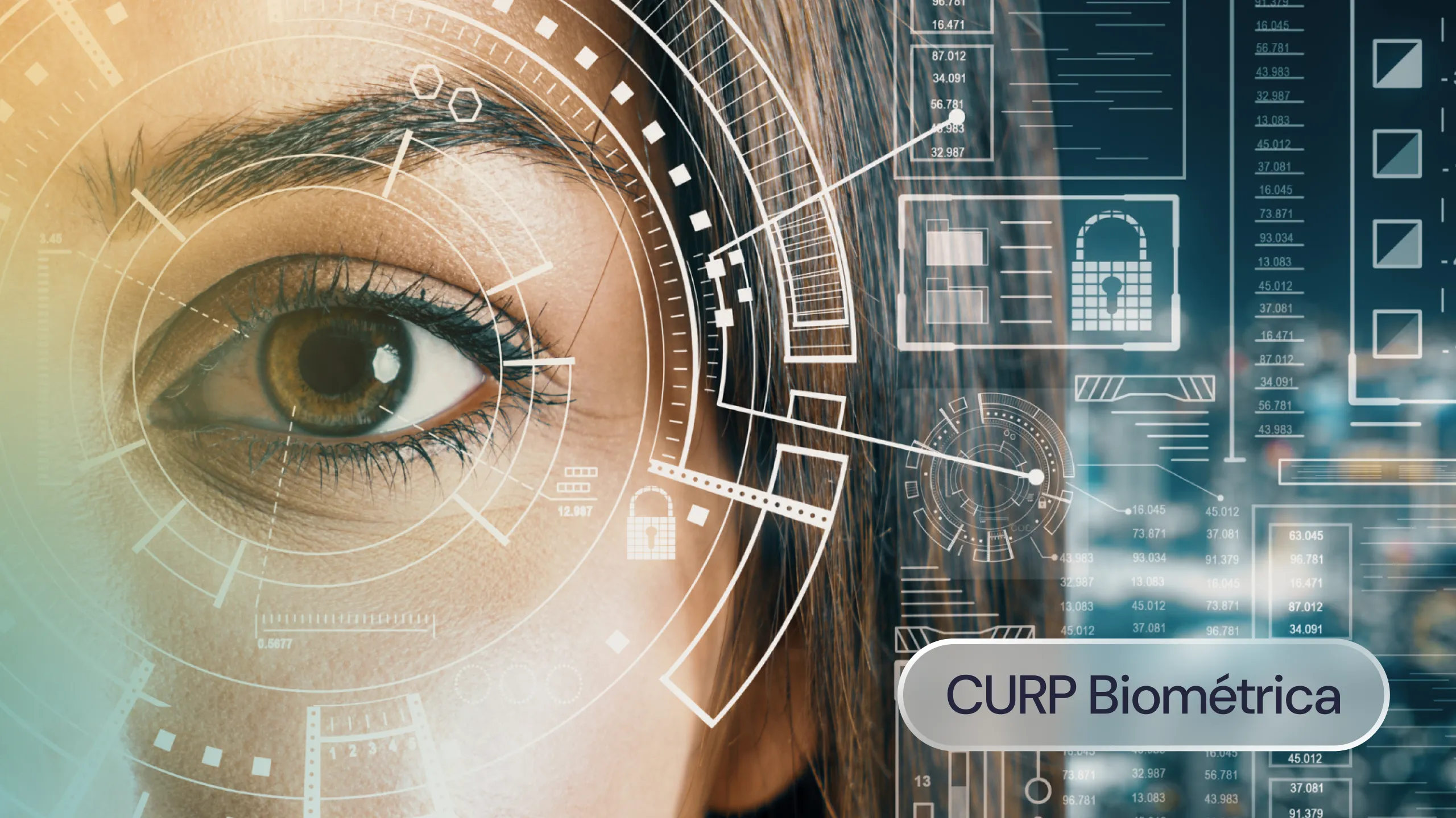 Como-sacar-mi-CURP-biometrica-Factorial